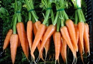 Консервирование моркови фото